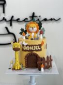 Daniel's Animal Cake
