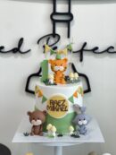 Raez Mikael's Animal Cake