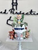 Ashton's Baby Boy and Animal Cake