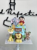 Joseph's Baby Boy and Animal Cake