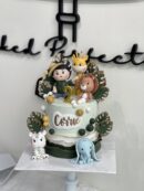 Corrie's Baby Boy and Animal Cake