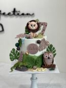Lukas's Animal Cake