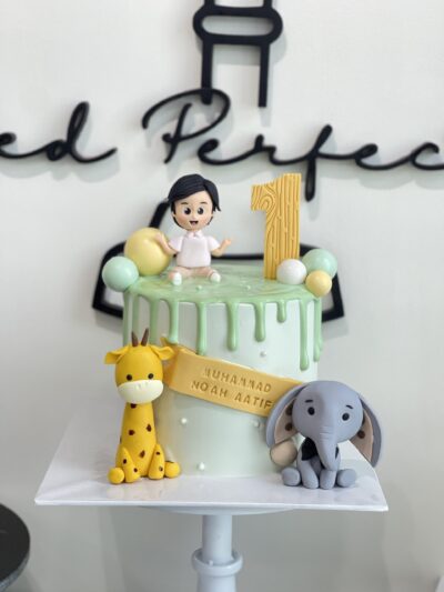 Muhammad Noah Aatif's Baby Boy and Animal Cake