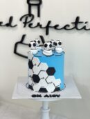 CK Aisy's Soccer Cake