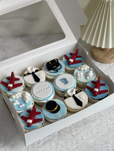 2D Pilot Cupcake