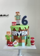 Aryan's Minecraft Cake
