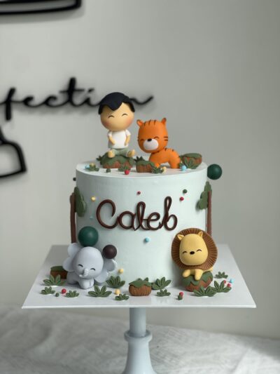 Caleb's Animal Cake