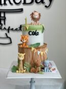 Cole's Animal Cake