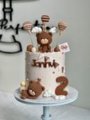 Janhvi's Bear with Hot Air Balloon Cake