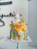 Jenelle Thea's Rabbi with Rainbow Cake